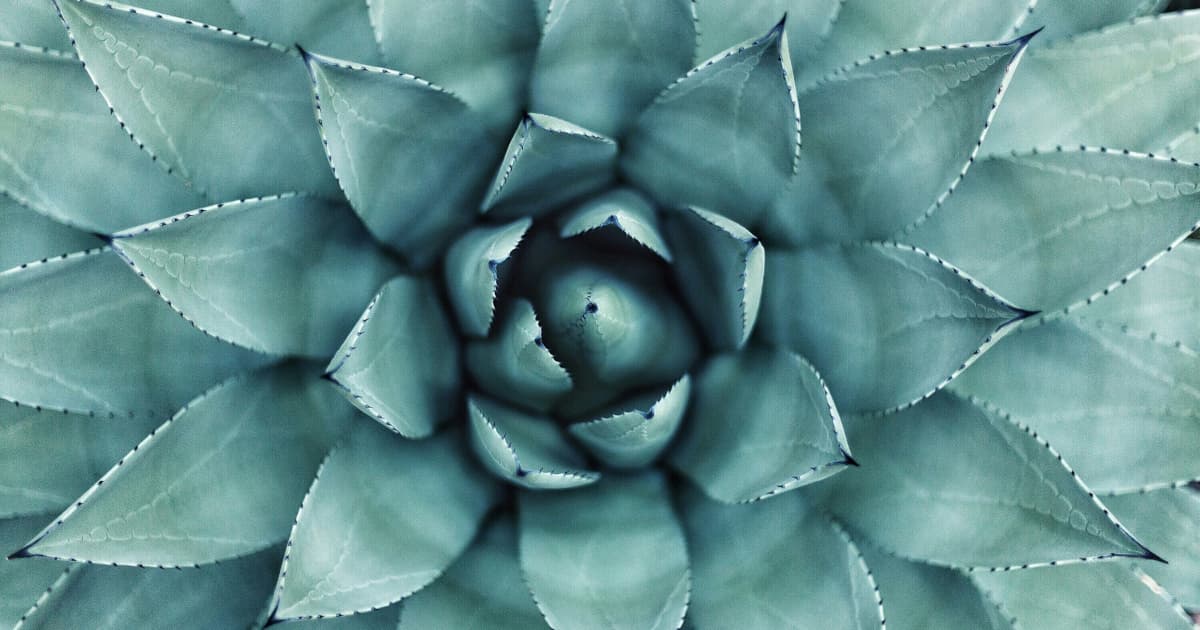 Village Wellness Hosts Free Holistic Health Open House to Increase Community Accessibility