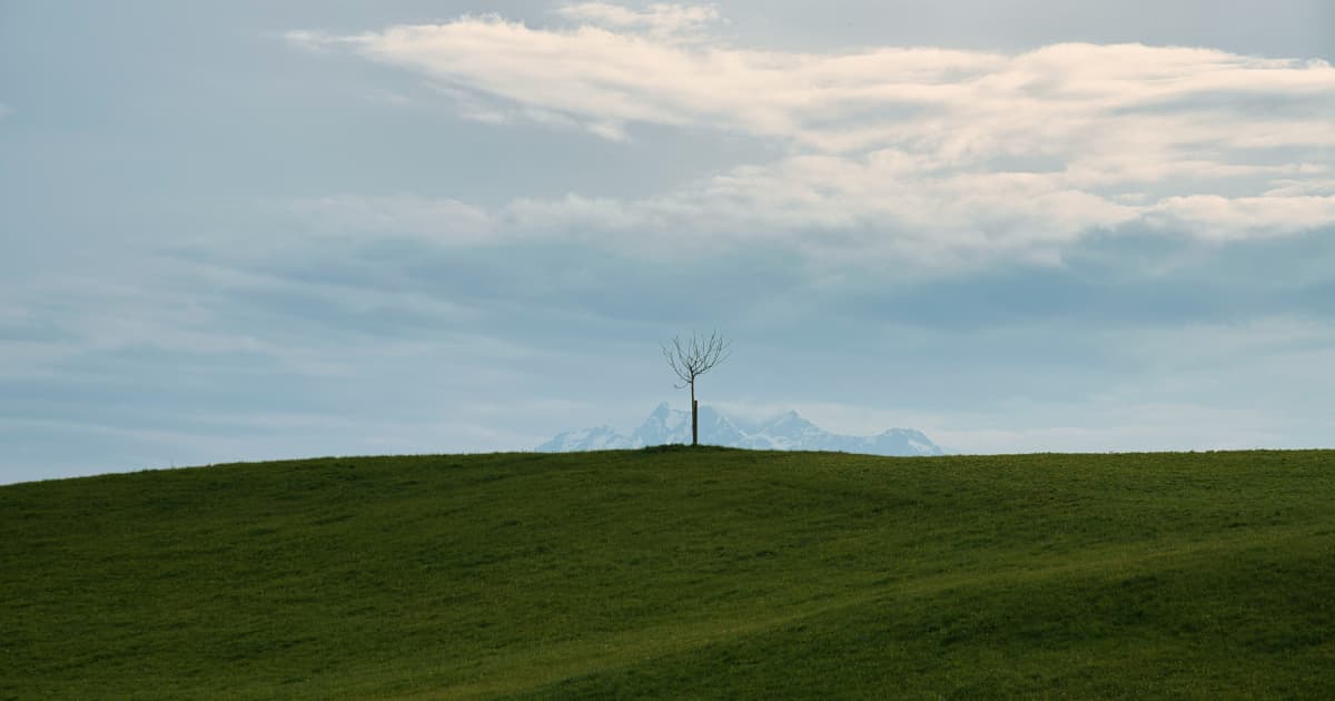 Easy Environmental Solutions' Waste-to-Fertilizer System Aims to Combat African Food Insecurity