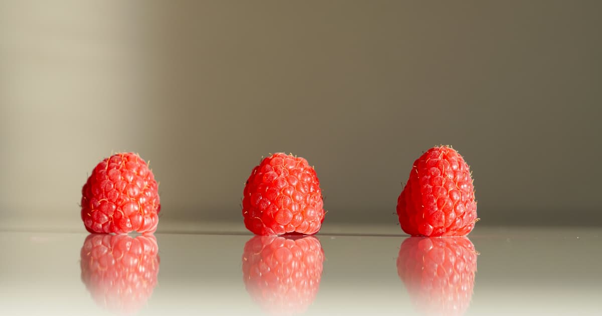 Dr. Zachary Solomon Scholarship Aims to Cultivate Next Generation of Medical Innovators