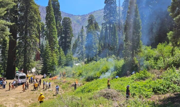 Giant Sequoia Lands Coalition Marks Significant Progress in Ecosystem Restoration and Wildfire Mitigation
