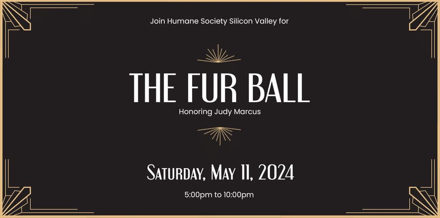 Humane Society Silicon Valley to Honor Judy Marcus at Annual Fur Ball for Lifesaving Contributions