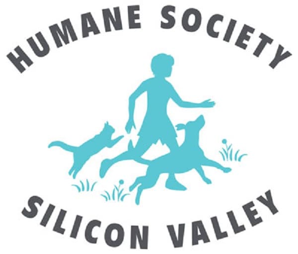 Humane Society Silicon Valley Celebrates 95 Years of Transforming Animal Welfare
