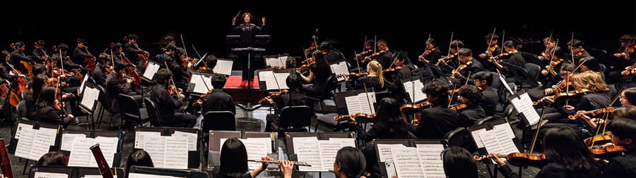 Wharton Arts to Host 'A Concert for Peace' Featuring Violins of Hope