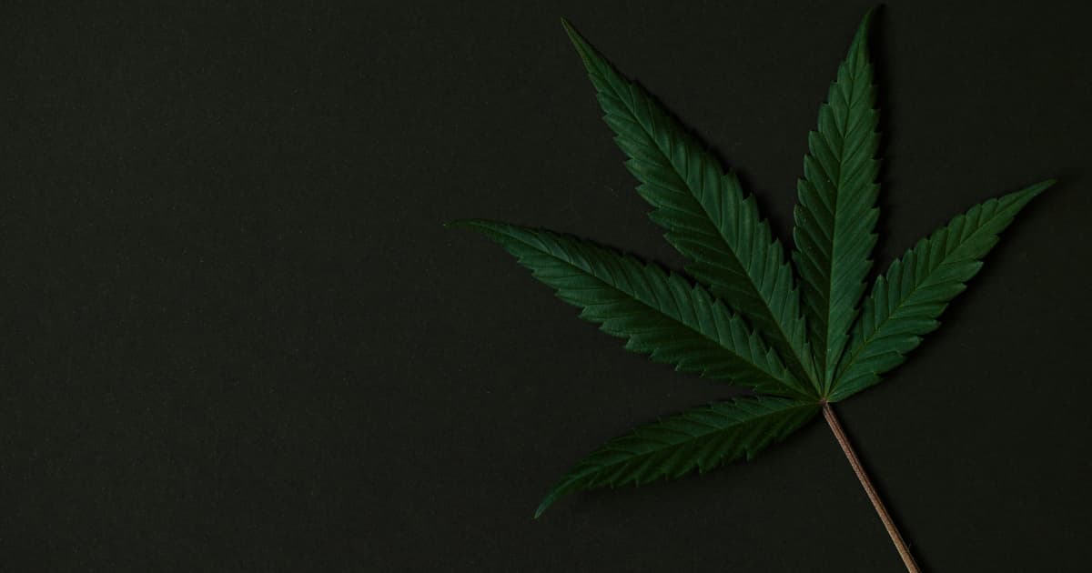 MWG Holdings Group Partners with Last Prisoner Project to Support Cannabis Criminal Justice Reform