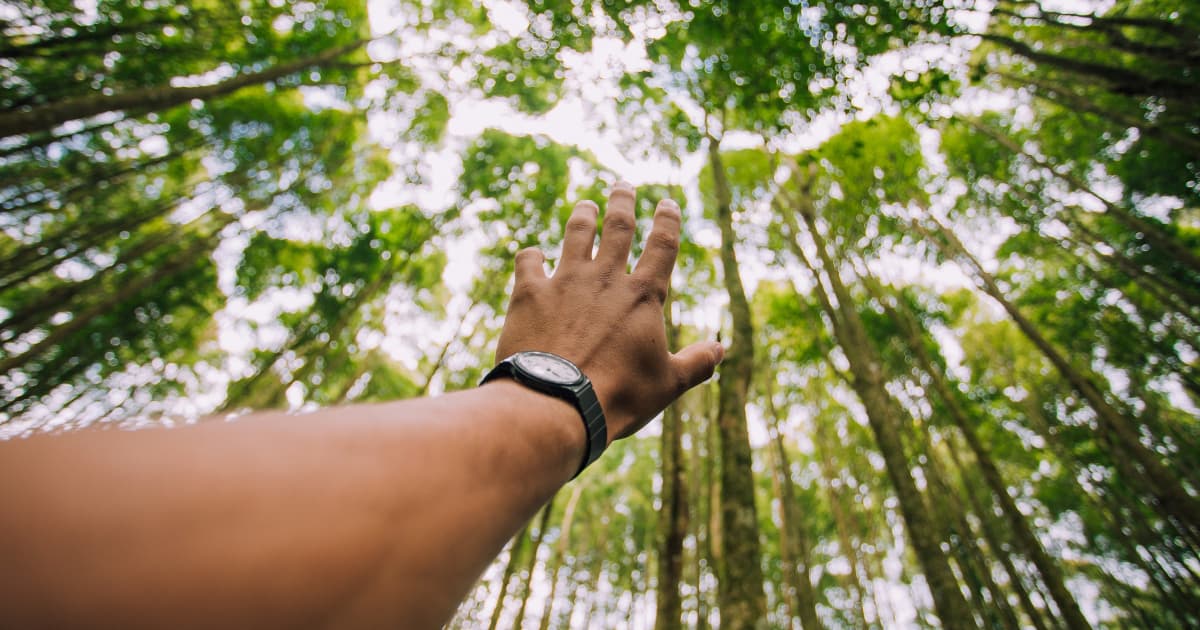 PISA Foundation Launches $25 Million Initiative to Address Nigeria's Deepening Food Crisis Through Smallholder Cooperatives