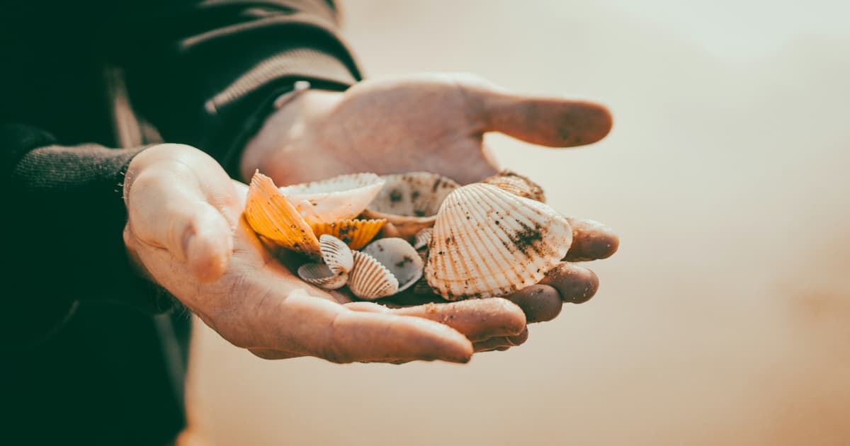 Hospice Care Significantly Underutilized Despite Proven Benefits, VNANNJ Reports