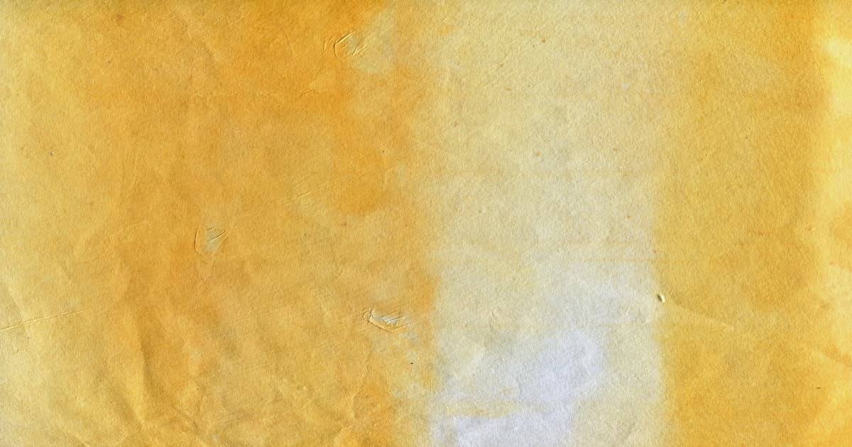 Mobility Solutions Transform Lives Through Strategic Nonprofit Partnerships